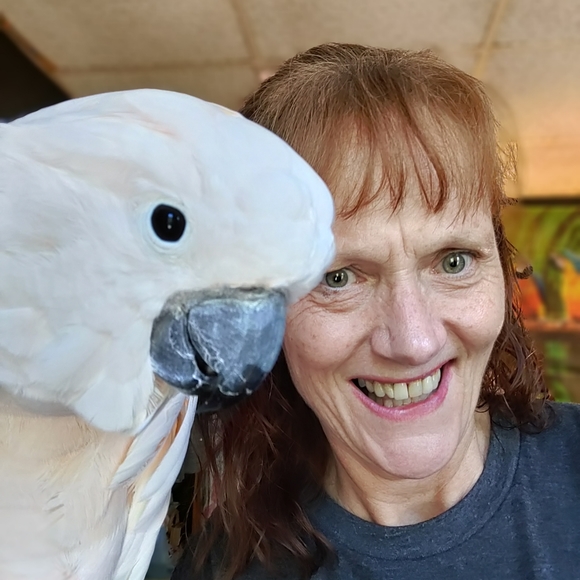 Meet your Poshers, Jan, Girly, Snowy, Calypso, and Sam. - Picture 1 of 4